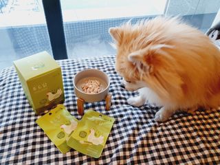 도그퓨어 푸드닭 강아지 닭고기 통살 애견간식 오리지널/차전자피/초록입홍합 — 5점을 준 리뷰어가 2021년 11월 올린 사용 사진