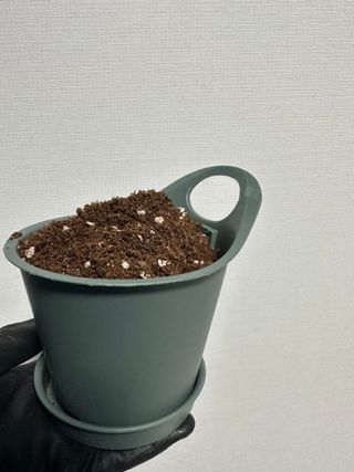 Obliviate님이 올린 리뷰 사진 1