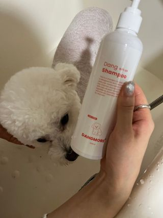 [댕모어 샴푸 2종] 댕샴푸 / 퍼피샴푸  2종 세트 (300ml) — 4.5점을 준 리뷰어가 2023년 10월 올린 사용 사진