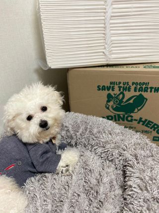 몽이님이 올린 리뷰 사진 3