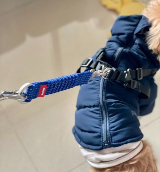 토리님이 올린 리뷰 사진 1