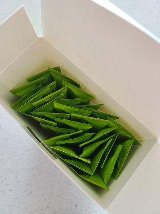 아므_이너뷰티 아므 젤리 컷 그린 씨드 10개입 — 5점을 준 리뷰어가 2021년 3월 올린 사용 사진