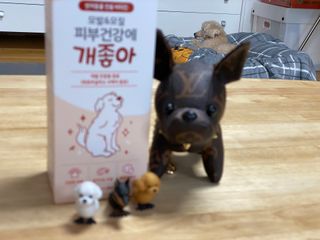 My Pet Care 모발과 모질 피부건강에 개좋아 — 4점을 준 리뷰어가 2021년 4월 올린 사용 사진