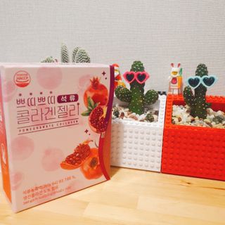 제인무탄바님이 올린 리뷰 사진 2