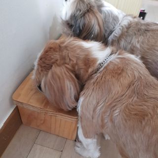 민준맘님이 올린 리뷰 사진 3