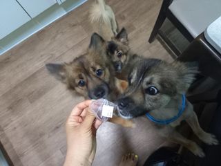 루비셀러님이 올린 리뷰 사진 4