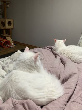 ㄹ진님이 올린 리뷰 사진 2