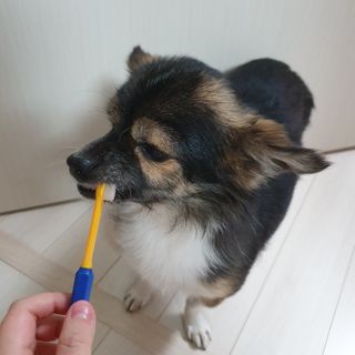 꽃수니어니님이 올린 리뷰 사진 3
