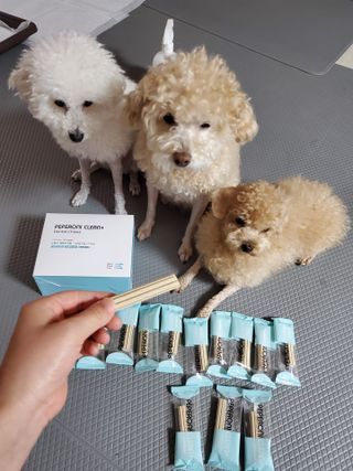 페페로니 클린플러스 덴탈치킨껌 10g x 14p — 5점을 준 리뷰어가 2021년 7월 올린 사용 사진