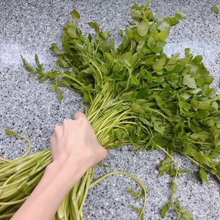 안녕헬로우님이 올린 리뷰 사진 1