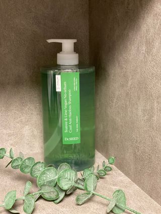 닥터시드 티트리 앤 라임 비건 지성케어 쿨 탈모 샴푸 (1000ml) — 5점을 준 리뷰어가 2023년 12월 올린 사용 사진