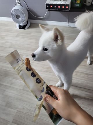 kay님이 올린 리뷰 사진 2