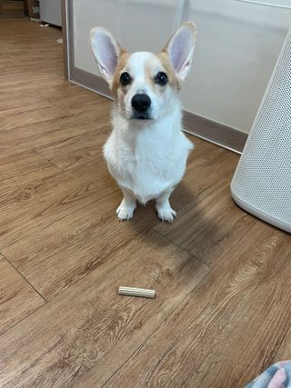 샤넬젤라님이 올린 리뷰 사진 3