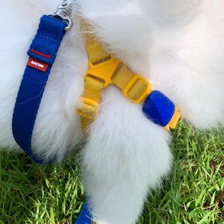 오랑이님이 올린 리뷰 사진 1