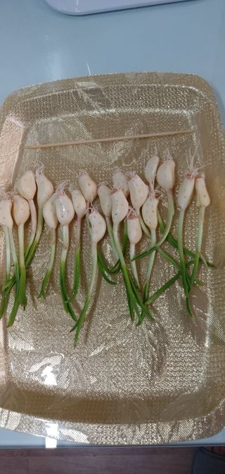 램프의엘프님이 올린 리뷰 사진 3