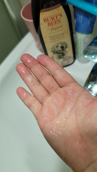 몽실맘님이 올린 리뷰 사진 1