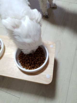 또멍몽🐶빤멍몽🐶님이 올린 리뷰 사진 3