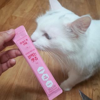 페페로니 잘 먹는 캣츄 - 알래스카 연어 24개입 — 5점을 준 리뷰어가 2021년 7월 올린 사용 사진
