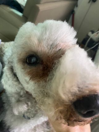 진용김님이 올린 리뷰 사진 3