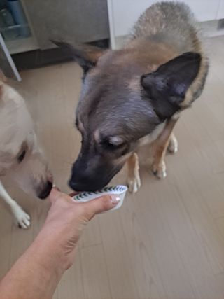 태가맘님이 올린 리뷰 사진 3