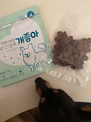 My Pet Care 천연단백질 눈건강에 개좋아 — 5점을 준 리뷰어가 2021년 2월 올린 사용 사진