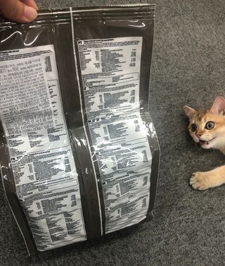 고고고님이 올린 리뷰 사진 2