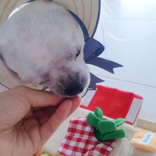 미진냥님이 올린 리뷰 사진 1