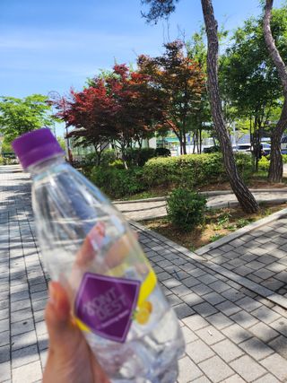 몽베스트 Montbest with Sparkling water 플레인/라임/레몬 20병(랜덤) — 5점을 준 리뷰어가 2024년 5월 올린 사용 사진