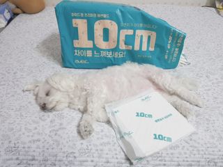두부님이 올린 리뷰 사진 1