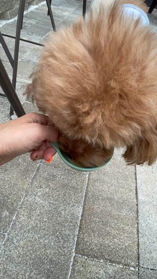 서준이야너는님이 올린 리뷰 사진 3