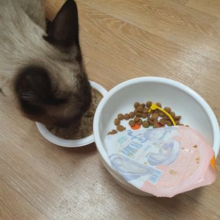 공팔럽님이 올린 리뷰 사진 3