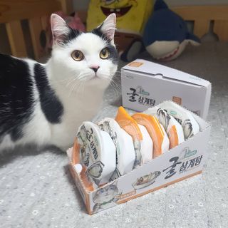 아들셋왕비님이 올린 리뷰 사진 1