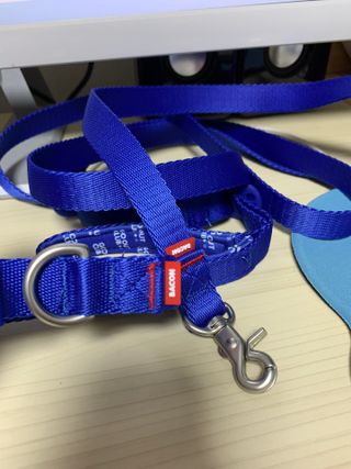 베이컨박스 [BACON] 고아웃클럽 이지그립 리드줄, 목줄 세트-BLUE — 5점을 준 리뷰어가 2021년 6월 올린 사용 사진