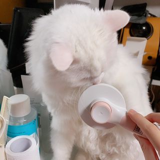 슈님이 올린 리뷰 사진 4