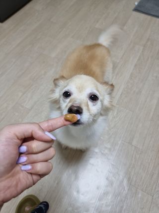 은둔샘님이 올린 리뷰 사진 1
