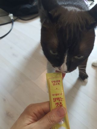 쮸동비님이 올린 리뷰 사진 1