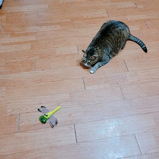 Naimy님이 올린 리뷰 사진 3