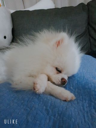황선아님이 올린 리뷰 사진 1