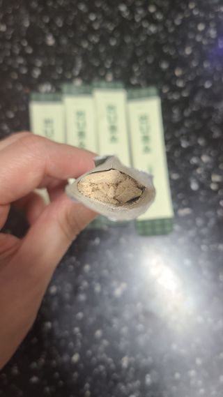 거니님이 올린 리뷰 사진 3