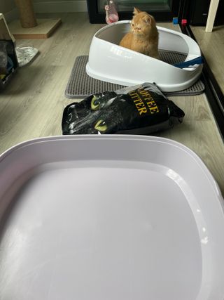 레미님이 올린 리뷰 사진 1