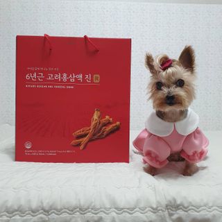 솜희님이 올린 리뷰 사진 3