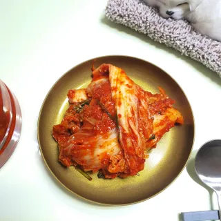 셰프애찬 알배기 겉절이 김치 1kg — 5점을 준 리뷰어가 2022년 9월 올린 사용 사진