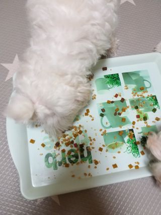 세유니님이 올린 리뷰 사진 1