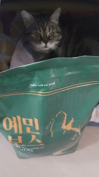 나초단맘님이 올린 리뷰 사진 1