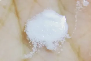 라니까님이 올린 리뷰 사진 3