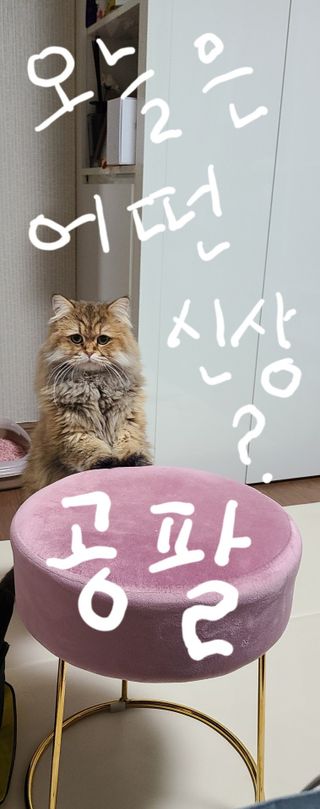 으나님이 올린 리뷰 사진 1