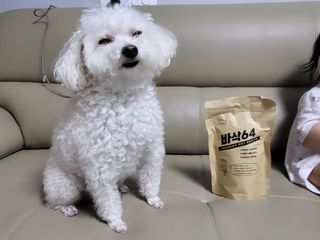 [보헤리] 국내산 강아지 육포간식 바삭 64 2종 — 5점을 준 리뷰어가 2022년 3월 올린 사용 사진