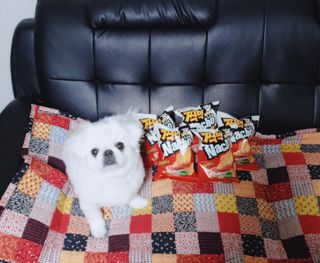 페키아름님이 올린 리뷰 사진 2