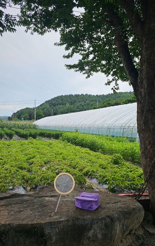홍블리님이 올린 리뷰 사진 1
