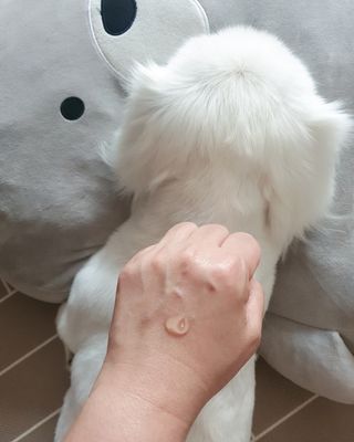 체르엠 스템앤셀 비타민 브라이트닝 에센스 30ml 1개 — 5점을 준 리뷰어가 2021년 9월 올린 사용 사진
